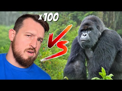 100 Men vs Gorilla was dumb