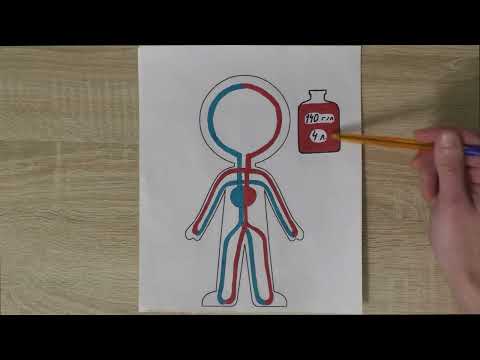 Парадокс геморрагического шока