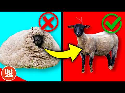 100 Facts That Will Leave You Speechless