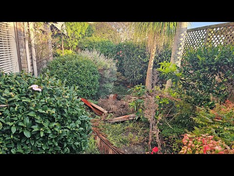 DAUGHTER SHOCKED By the Transformation of This OVERGROWN Garden