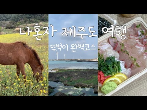 혼자 제주도 여행 vlog l 4만원대 가성비 숙소, 말🐴한테 물린썰, 인생 고등어회 맛집, 버스꿀팁, 함덕 소품샵, 김녕해수욕장