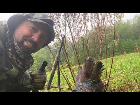 Shotguns, Ammo, & Patterning for Turkey Hunting. Which is best..20, 12, or the mighty 10 gauge!!!