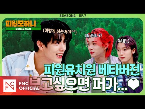 [#피원모하니] 하모니 포레스트 (HARMONY FOREST) Season2 EP.7 | 하모니 유치원