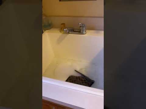 Cleaning Coach HandBags