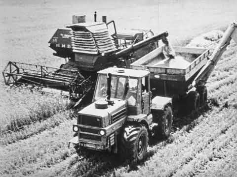 Организация уборки хлебов уборочно-транспортными комплексами, 1977