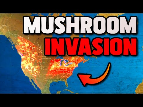 This Invasive Mushroom is Taking Over North America