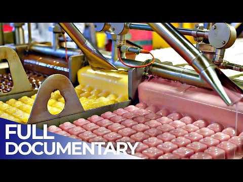 Europe’s Biggest Cake Factory: The Secrets of Mass Cake Production | FD Engineering
