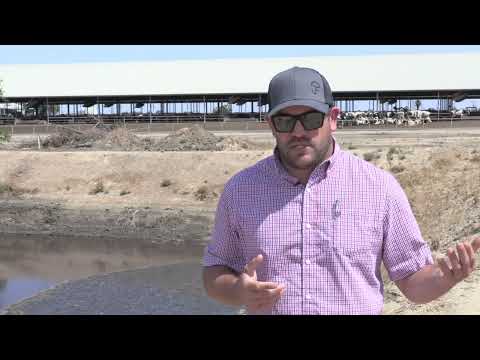 Richie Mayo of DeJager Farms on using cow urine in irrigation