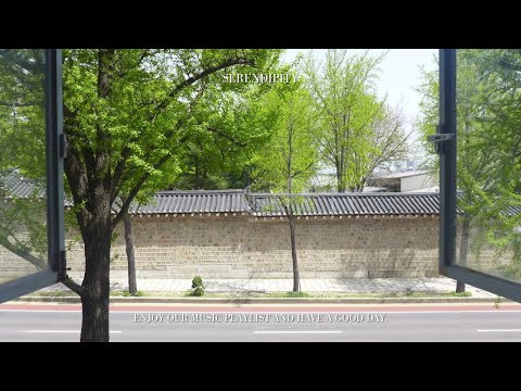 Playlist l A jazz-pop playlist playing in a cafรฉ in Seochon๐ง l a good mood cafe playlist