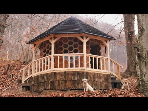 I am about to finish building a bee house.  Alone in the forest