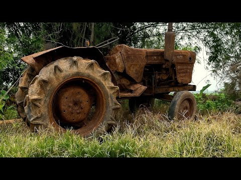 Genius boy revives old, rusty Yanmar 2310 tractor