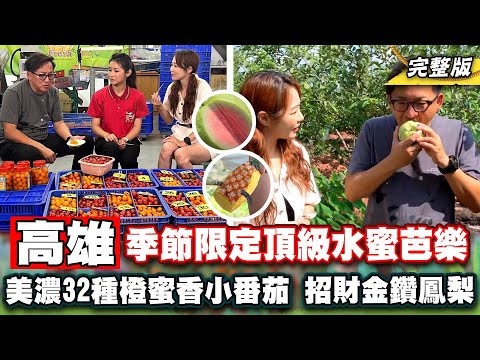 《詹姆士出走料理》高雄季節限定頂級水蜜芭樂 美濃32種橙蜜香小番茄 最好吃的金鑽鳳梨與私房鳳梨起司火腿堡-第264集-2024/6/23