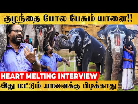 யானைகளை Control செய்வது எப்படி? ரகசியங்கள் உடைக்கும் பாகன்- Srirangam கோயில் யானை..- பாசமிகு பேட்டி