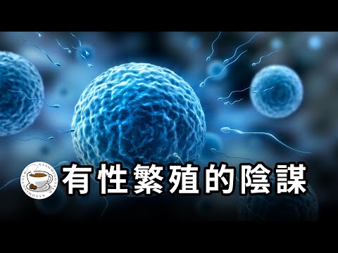 壽命為何是有限的？人類為何無法成為神？性別，其實是上帝對人類施加的詛咒？！