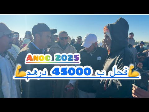 من ساحة القراقرة الحاج الخلادي المجروب عبد الكبير 💪باع فحل راس السوف ❤️🐏ب 45000 درهم الله إصدق العمل