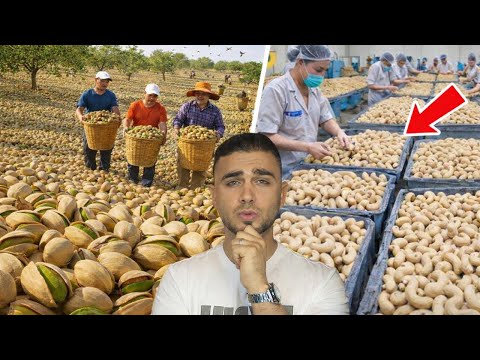 فضيحة الكاجو والفستق الحلبي المغشوش 😱الغش الغذائي أخطر مما تتصور🤔