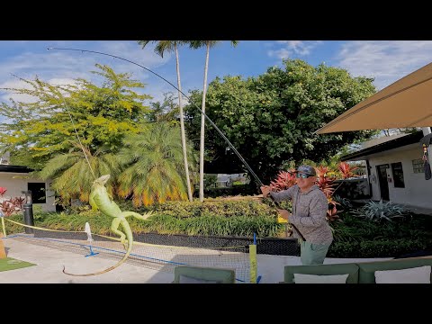 Fishing for IGUANAS in a PSYCH WARD that have been CHASING PATIENTS (Catch & Eat)