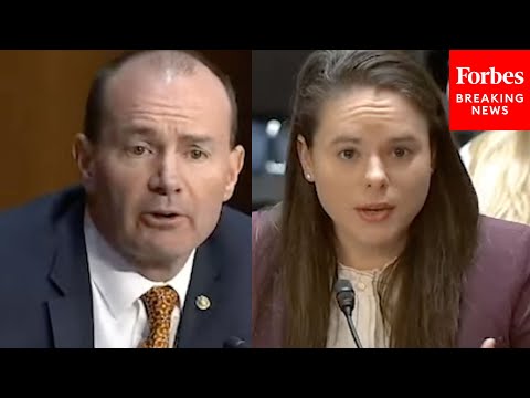 'How Many Times Each Year Does An American Use A Firearm In Self-Defense?': Lee Questions Witness