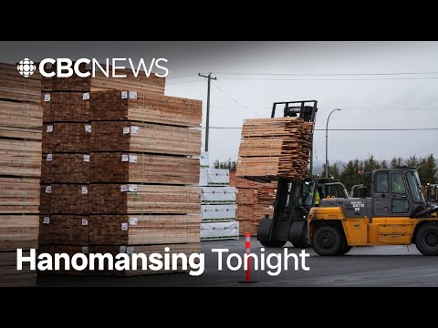 U.S. hikes anti-dumping duties on Canadian softwood lumber | Hanomansing Tonight