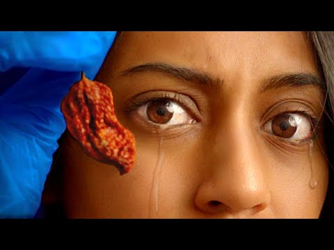 i trained to eat the world’s hottest pepper