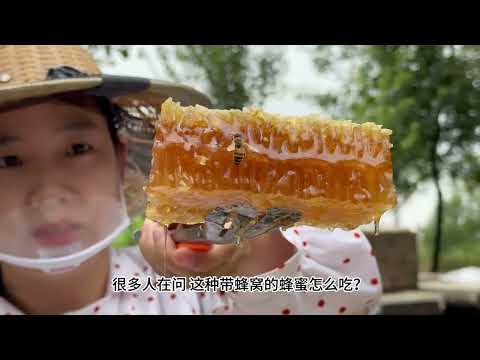 无巢础没有人为干预完全小蜜蜂自己弄的蜂窝蜜带五倍子花蜜 秋天的第一杯蜂蜜 蜂巢蜜 纯天然蜂蜜自产自销