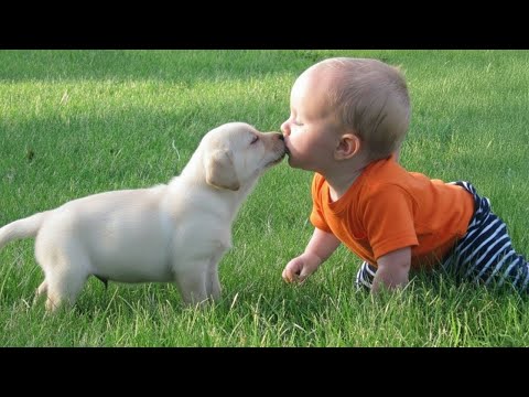 10 Minutes of the Cutest Baby & Dog Playing Outside 🐶