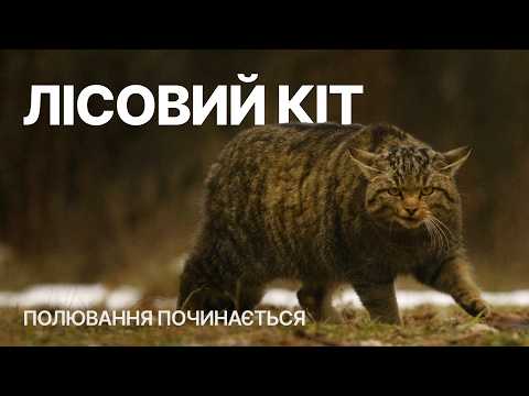 The Last 300 Spartans of the Ukrainian Forests