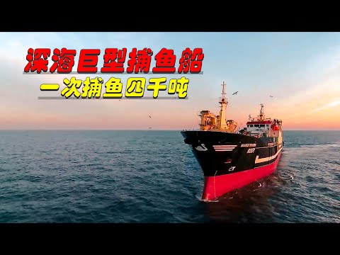 A giant deep-sea fishing vessel hauled 4,000 tons of herring in 21 days; the integrated fishing, ...
