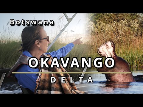 Okavango Delta, Botswana: Is It Overhyped? Xugana Island Lodge, Helicopter Views & Bush Walk