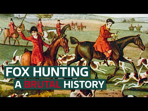 Breaking Cover: The History of Fox Hunting in Britain | Our History