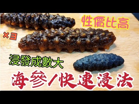 〈職人吹水〉×3倍數 海參浸發/快速技巧/ ×3倍數浸發成數大/如何選購性價比高海參/ @Singsingkitchen