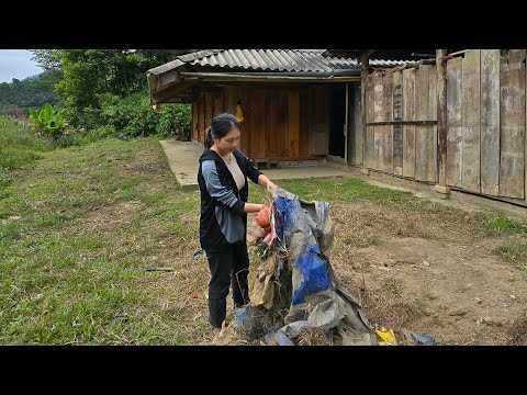 The girl cleaned the old house alone to live.