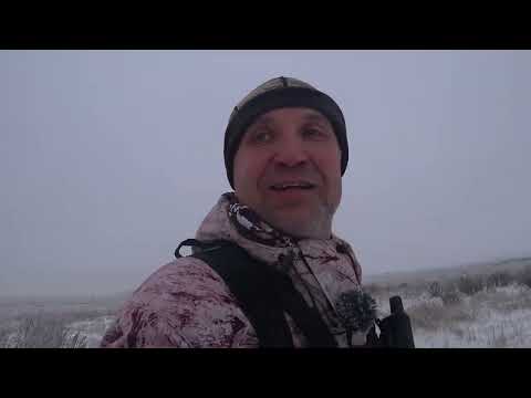 Hare hunting according to science...