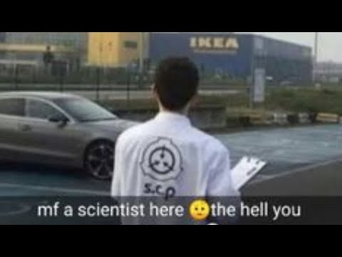 Random memes I permanently borrowed PT.550