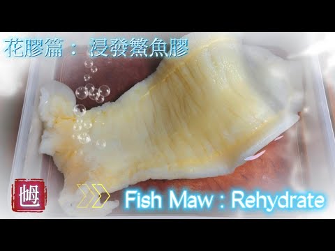 《家嘗別飯》鮑參翅肚篇 (魚肚) :  花膠篇: 浸發鰵魚膠（－）（3兩幾一隻要用什麼方法?) (會有發過龍?)【Dong Dong Kitchen】Fish Maw: Rehydrate
