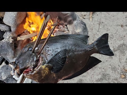 Fishing Catch & Cook on Remote Island Beach - Fishing with a spear! (I almost died)