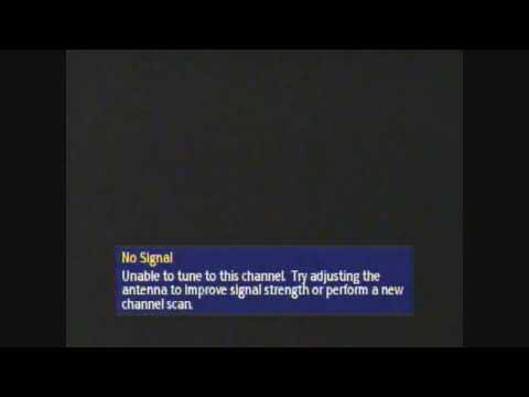 No Signal Error Screen (Loopable)