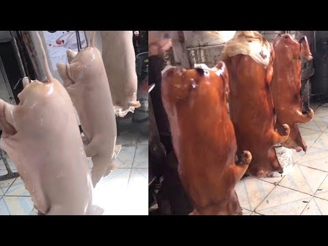 烤脆皮乳猪全过程，要想皮脆肉嫩，这三步很重要，清洗开水烫腌制【唐哥美食】