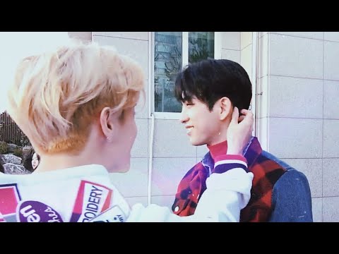 GOT7 greatly adoring each other