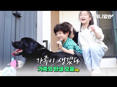 [Family Special] “I choose my guardian myself!” Cute animals who chose their families 🐶