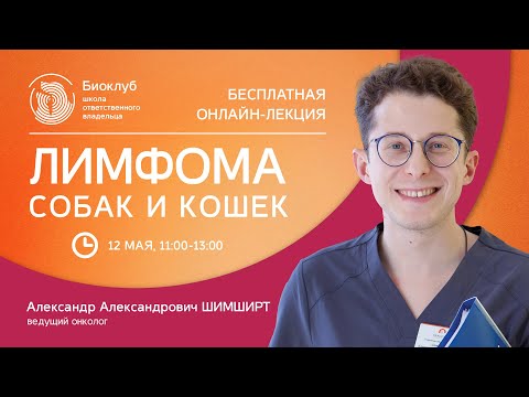 Лимфома собак и кошек