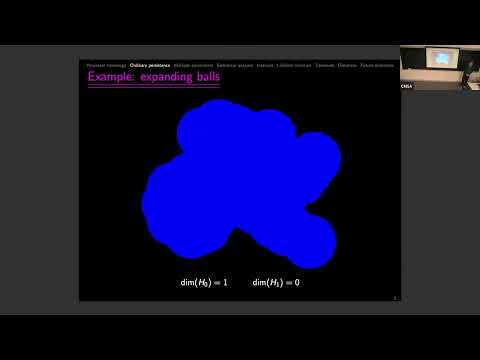 Ezra Miller | Extracting bar lengths from multiparameter persistent homology