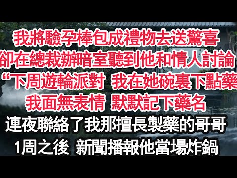 我將驗孕棒包成禮物去送驚喜卻在總裁辦暗室裏聽到他和情人討論：“下周遊輪派對 我在她碗裏下點藥”我面無表情 默默記下藥名連夜聯絡了我那擅長製藥的哥哥1周之後 新聞播報他當場炸鍋【顧亞男】【大女主】
