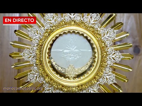 Adoración Eucarística en silencio. Una hora con el Señor expuesto 🙏 ¡Te amo Señor mío y creo en Ti!