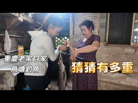 我們在重慶自家魚塘釣大魚啦，猜猜這隻大魚幾斤重? 親手採收甜玉米，一場超豐收的鄉村田園生活