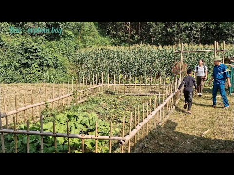 full vireo These days, Bao lives with his mother.