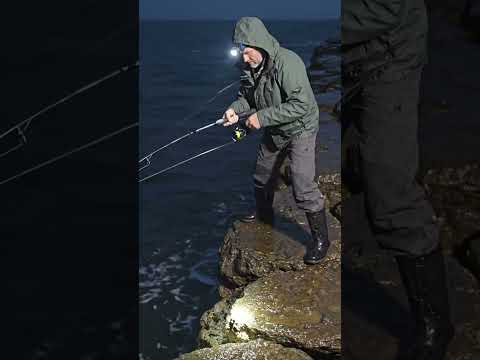 Fishing Rod vs Big Fish Quick Fight! #fish #shorts #shortvideo #fishingvideo #youtubeshorts