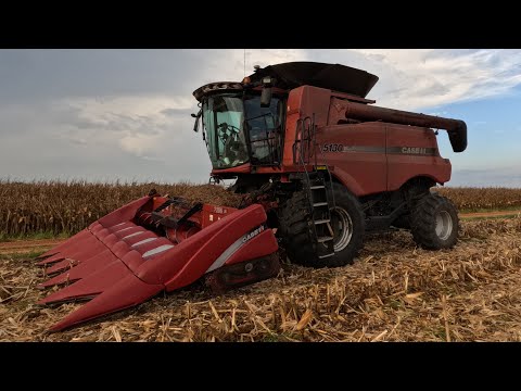 Non-GMO v. GMO corn profit margins