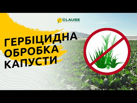 ЯК ПРАВИЛЬНО ПРАЦЮВАТИ ГЕРБІЦИДАМИ?