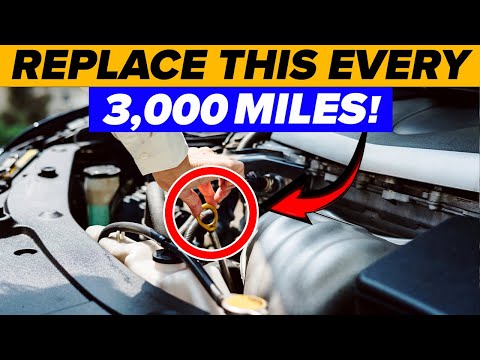 These JAPANESE SECRETS Will Make Your VOLKSWAGEN Last Over 1,000,000 Miles